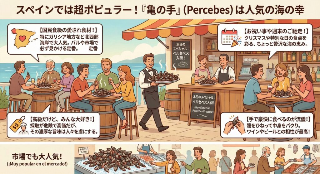 亀の手はスペインではポピュラーな食べ物