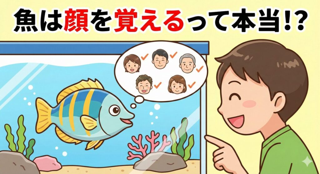 魚は顔を覚える